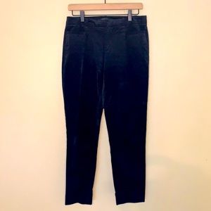 Banana Republic Velvet Sloan Fit pants